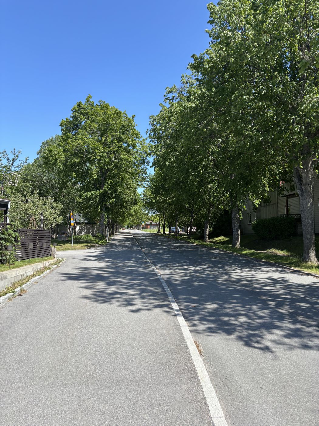 Una calle con árboles en Suecia